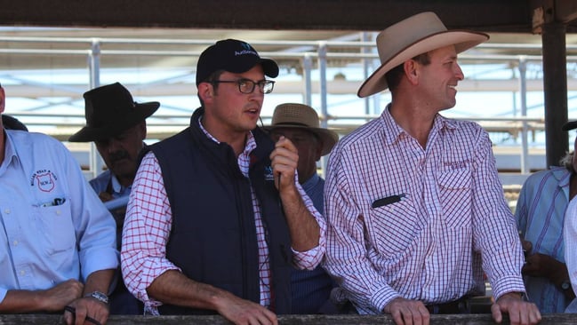 AuctionsPlus product development manager Ciaran O'Gorman and Princess Royal Station freight and livestock manager Luke Bavistock - Stock & Land